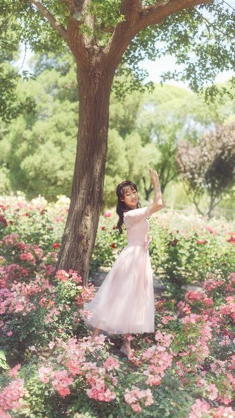 父母爱情电视剧免费观看完整版